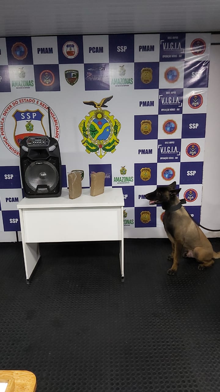 Policiais da Base Arpão apreendem 2kg de maconha em caixa de som