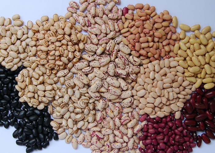 Dez de fevereiro é comemorado o Dia Mundial dos Pulses