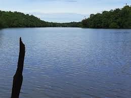 Cabo da PM desaparece durante pescaria em lago no interior do Amazonas