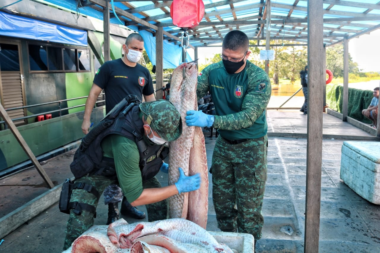 Policiais da Base Arpão apreendem mais de meia tonelada de pirarucu ilegal