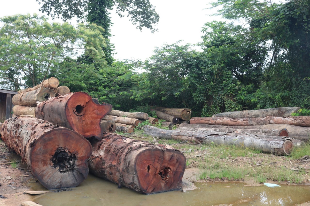 Operação Tamoiotatá reforça ações de combate ao desmatamento em Humaitá