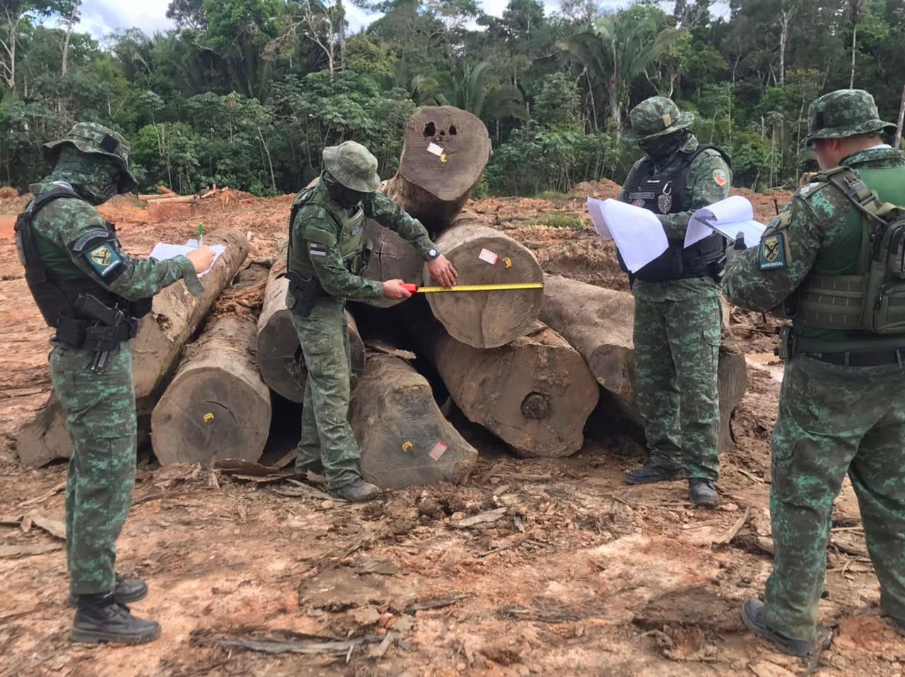 Batalhão Ambiental apreende cerca de 10 toneladas de carvão ilegal em madeireira de Humaitá
