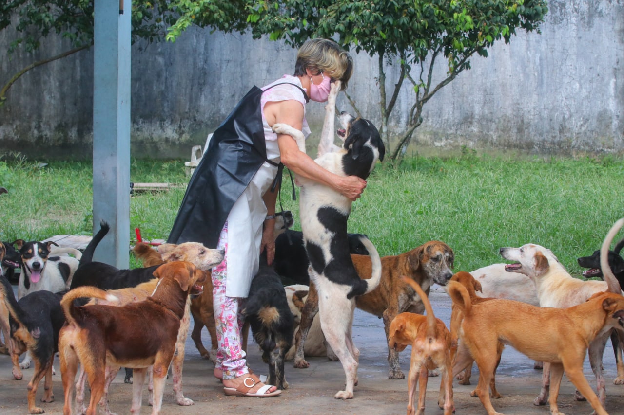 Governo do Amazonas entrega 15 toneladas de ração para protetores e cuidadores de animais