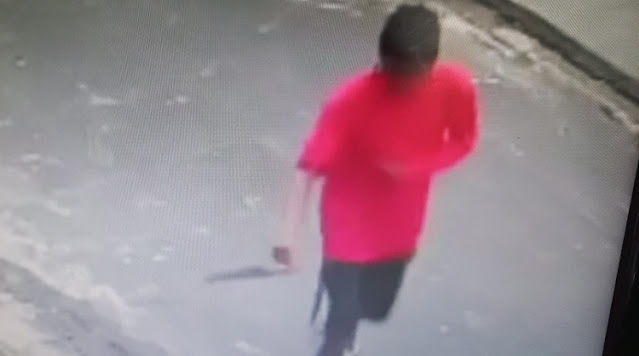 Vídeo: Homem é flagrado agredindo animais de rua na Compensa