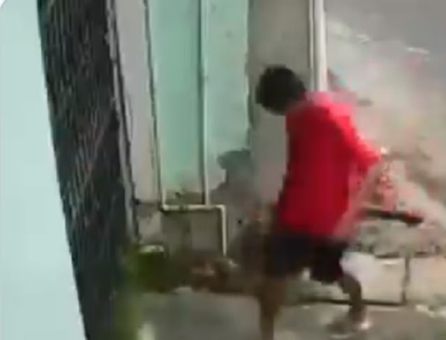 Homem que esfaqueou cachorro e chutou gatos de rua é executado a tiros na Compensa