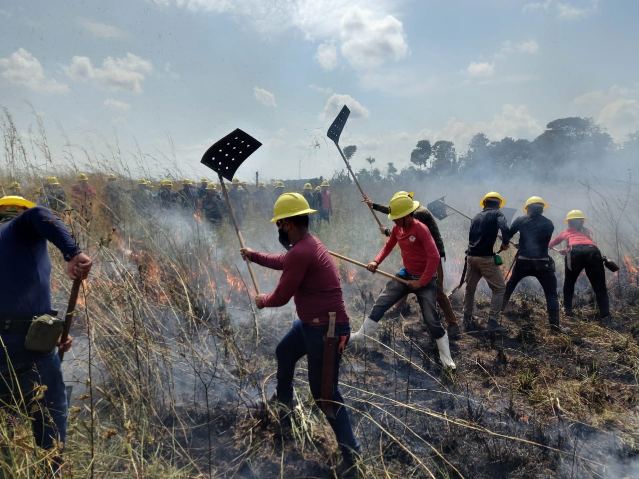 Estados da Amazônia Legal se unem para combater queimadas e incêndios florestais