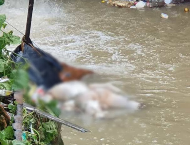 Sem pernas, cadáver é encontrado boiando em igarapé na Zona Oeste