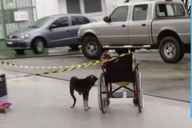 Cadeirante é encontrada morta em posto de gasolina de Manaus; cachorro guardava o corpo