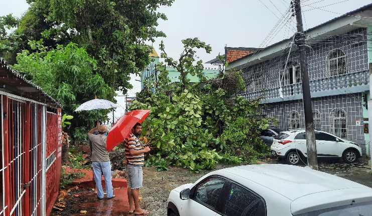 Vendaval provoca tombamento de árvores e danos à ornamentação na Ponta Negra