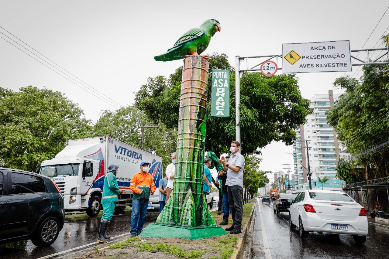 Prefeitura de Manaus cria zona de controle para proteger periquitos-de-asa-branca