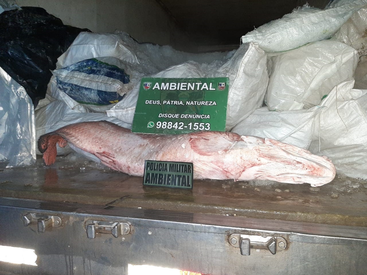Polícia apreende 60 toneladas de minério de cassiterita e 2 toneladas de pescado ilegal