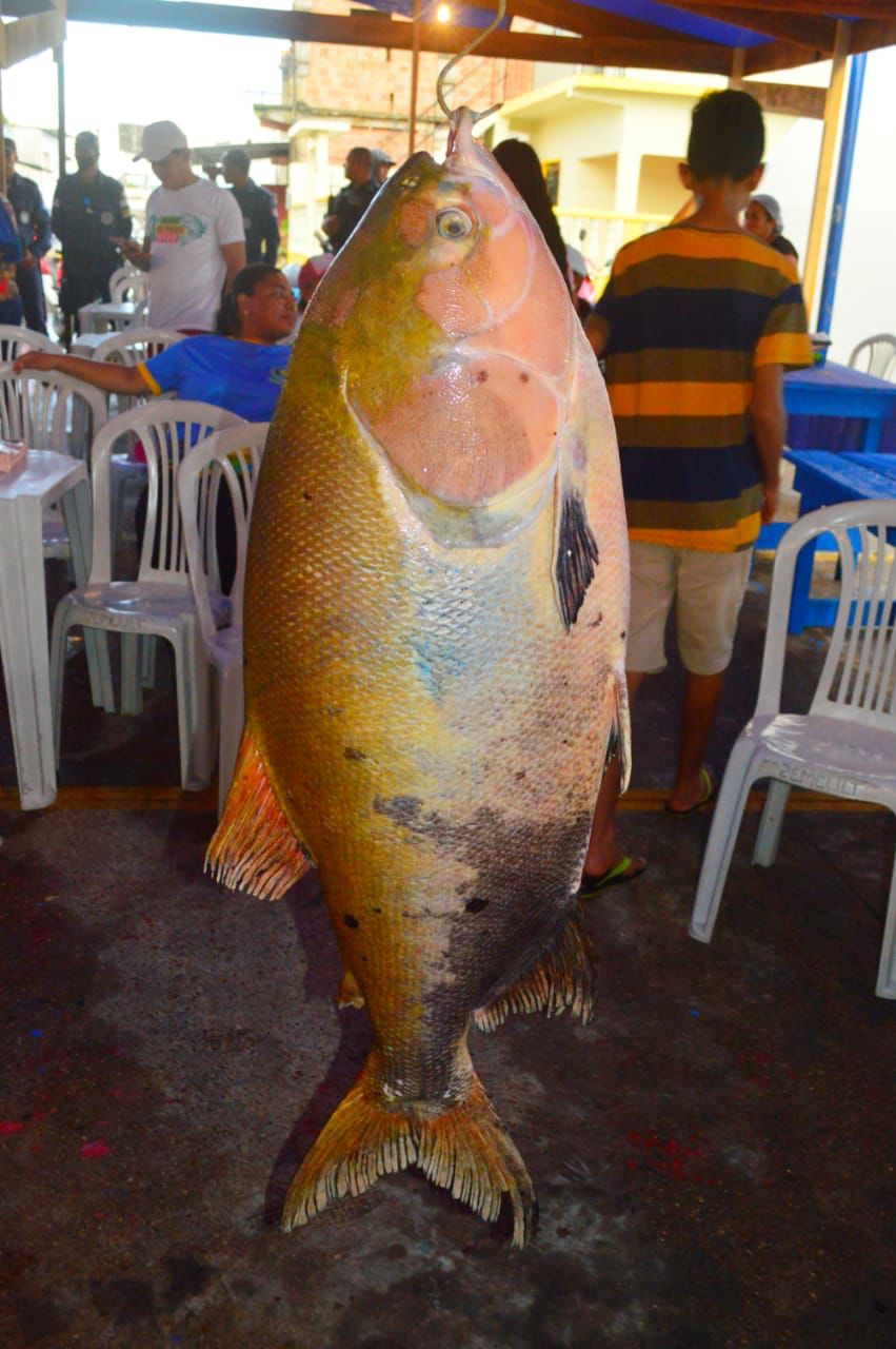 Prefeitura de Coari realiza abertura da 10ª Feira do Peixe Vivo
