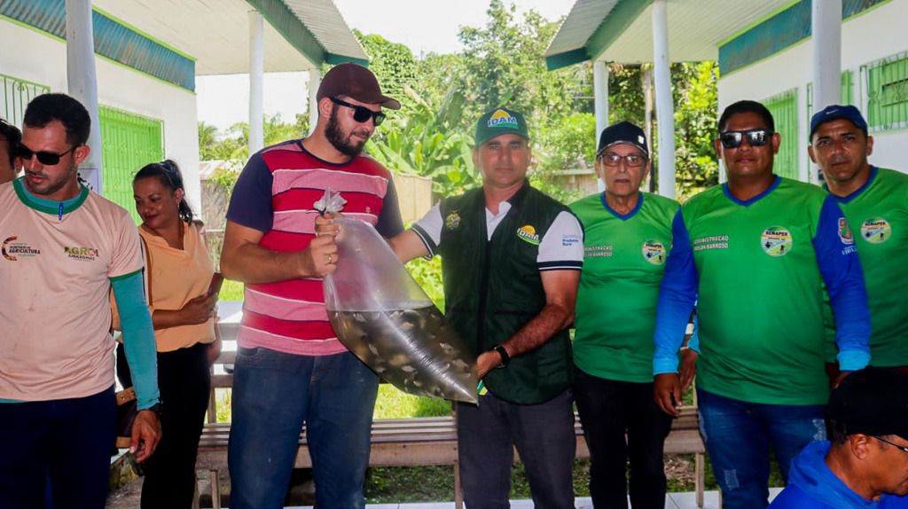 Governo do Amazonas entrega 50 mil alevinos de tambaqui para piscicultores da região do Juruá