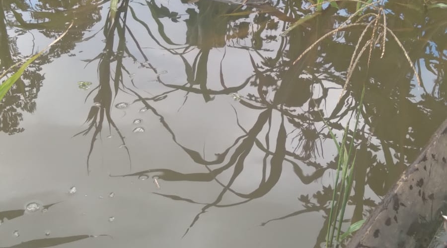 Corpo é achado apodrecendo em lago no Iranduba; imagem forte