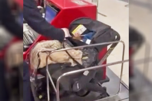 Casal deixa bebê no check-in do aeroporto para evitar compra de passagem extra