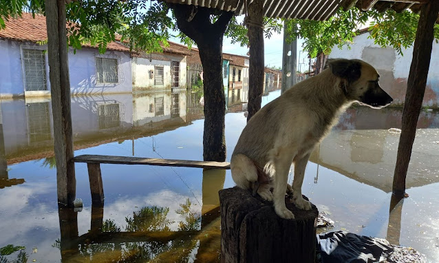 Barragem rompe e deixa 32 desalojados no Ceará