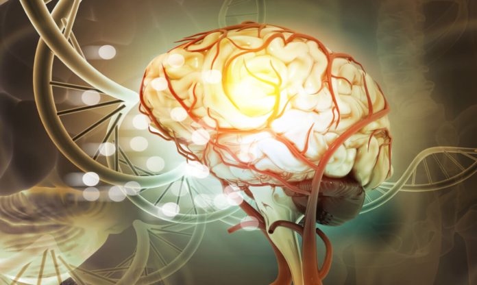 Ondas cerebrais podem indicar declínio cognitivo no Parkinson; entenda