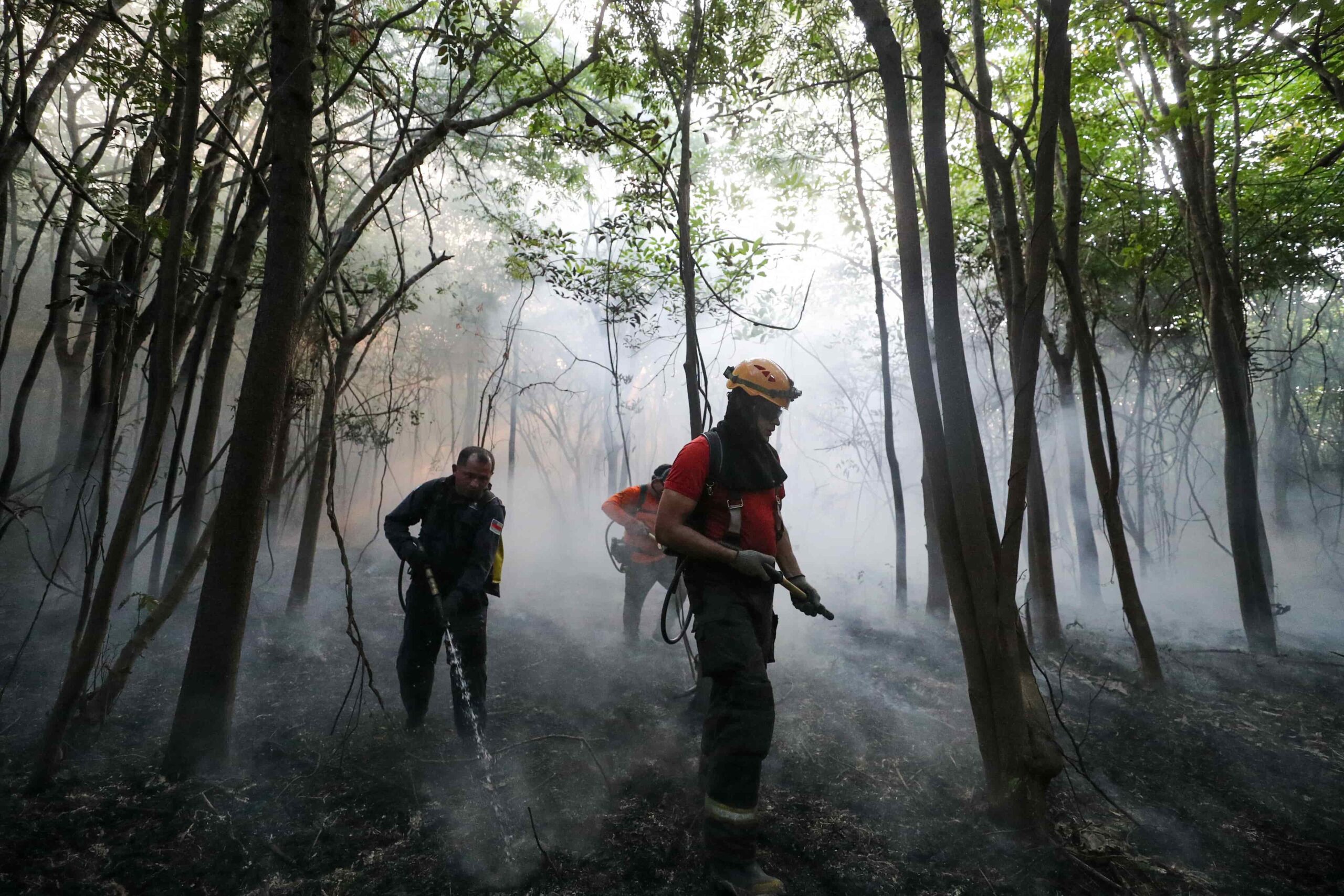 Governo do Amazonas contrata brigadistas para reforçar combate às queimadas