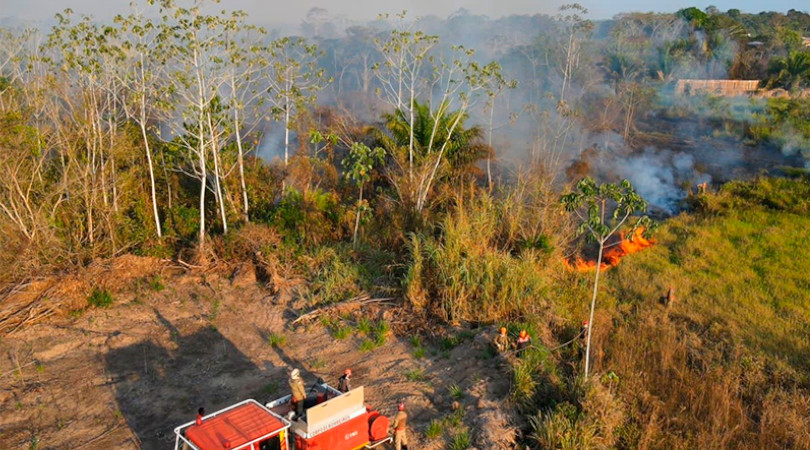 Amazonas decreta emergência ambiental devido as queimadas