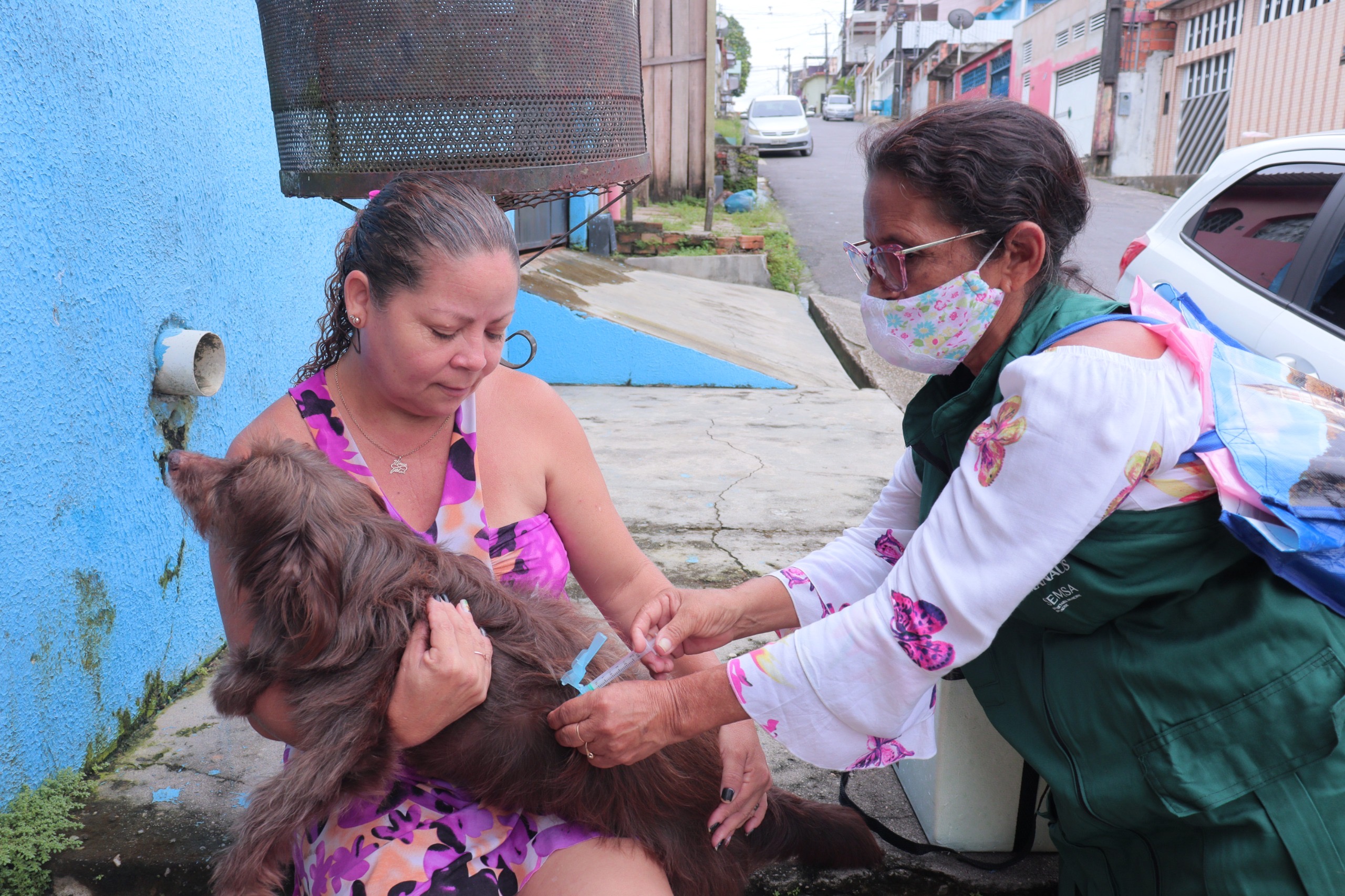 Vacinação contra raiva: Amazonas segue em campanha para prevenção da doença em cães e gatos