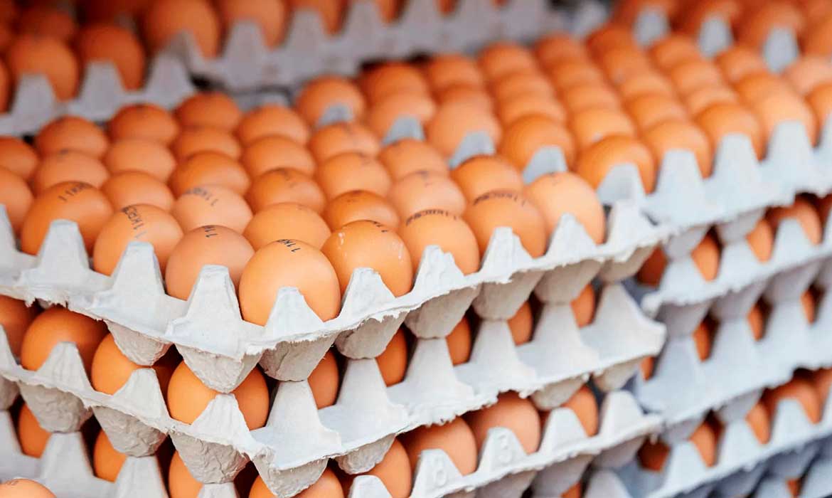 Brasil obtém acordo com Chile para exportação de ovos
