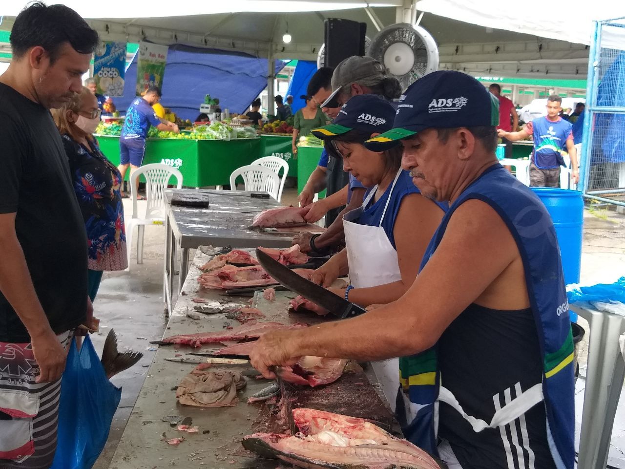 Feirão do Pescado: mais de 100 toneladas de peixes serão vendidas em Manaus