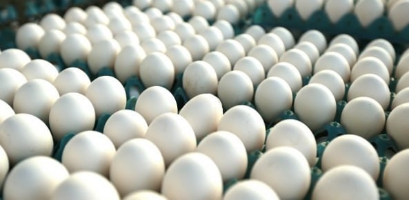 Governo russo autoriza importação de ovos e produtos de ovos brasileiros, diz Itamaraty