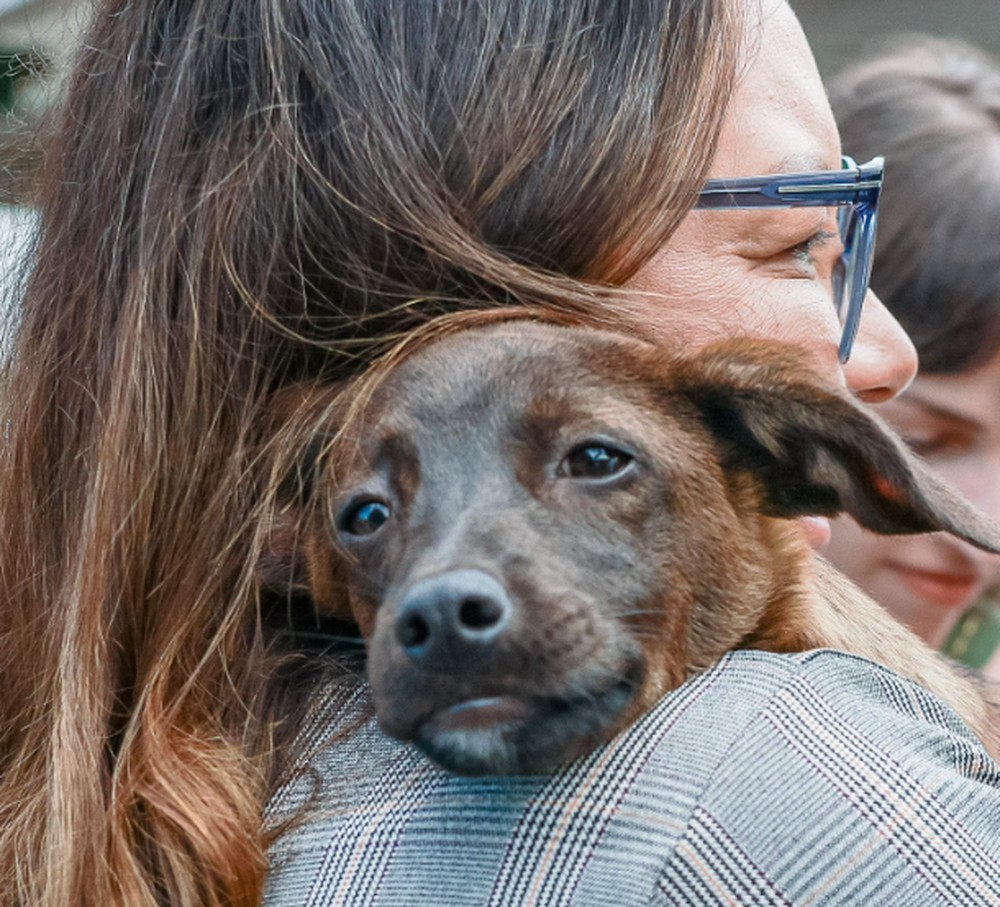 Janja adota cachorra resgatada no Rio Grande do Sul: ‘Essa é a Esperança’