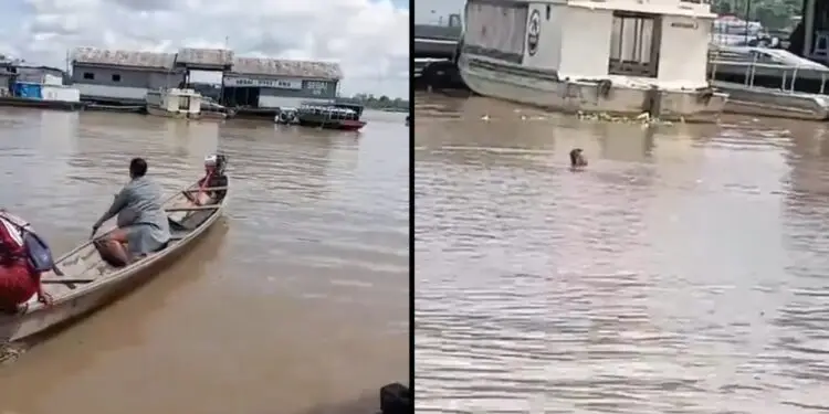REVOLTANTE – Ribeirinhos se recusam a socorrer e até filmam homem morrer afogado no Rio Solimões