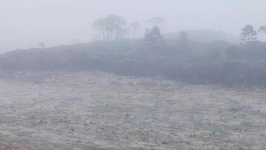 NEVE VOLTA A CAIR NO SUL DO BRASIL, VAI AUMENTAR E DEVE ACUMULAR